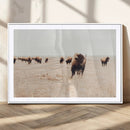 Bison Herd Wall Art Canvas Print, Framed Western Landscape by MyGreatCanvas | Canvas Wall Art Prints | Photo Prints & Wall Decor