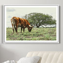 Texas Longhorn Wall Art Canvas Print – Rustic Western Ranch by MyGreatCanvas | Canvas Wall Art Prints | Photo Prints & Wall Decor
