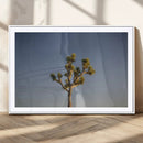 Joshua Tree Wall Art Canvas Print – Framed Southwestern by MyGreatCanvas | Canvas Wall Art Prints | Photo Prints & Wall Decor