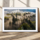 Tranquil Forest Wall Art Canvas Print – Framed Sunbeam by MyGreatCanvas | Canvas Wall Art Prints | Photo Prints & Wall Decor