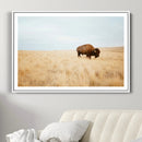 Buffalo Wall Art Canvas Print – Framed Western Wildlife