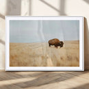 Buffalo Wall Art Canvas Print – Framed Western Wildlife by MyGreatCanvas | Canvas Wall Art Prints | Photo Prints & Wall Decor