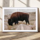 Western Wildlife Wall Art Canvas Print, Majestic Wilderness by MyGreatCanvas | Canvas Wall Art Prints | Photo Prints & Wall Decor