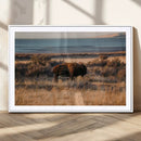 Western Framed Bison Wall Art Canvas Print by MyGreatCanvas | Canvas Wall Art Prints | Photo Prints & Wall Decor