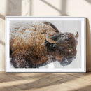 Snowy Buffalo Wall Art Canvas Print – Framed Rustic Lodge by MyGreatCanvas | Canvas Wall Art Prints | Photo Prints & Wall Decor