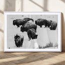 Buffalo Herd Wall Art Canvas Print – Framed Black and White by MyGreatCanvas | Canvas Wall Art Prints | Photo Prints & Wall Decor