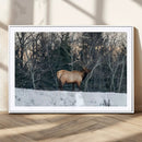 Wild Elk Wall Art Canvas Print – Framed Winter Wildlife by MyGreatCanvas | Canvas Wall Art Prints | Photo Prints & Wall Decor