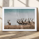 Elk Herd Wall Art Canvas Print – Framed Wildlife Photography