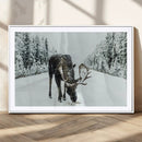 Moose Snow Wall Art Canvas Print – Framed Winter Wildlife