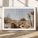 Joshua Tree Desert Landscape Canvas Wall Art – Barren by MyGreatCanvas | Canvas Wall Art Prints | Photo Prints & Wall Decor