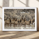 Majestic Elk Herd Winter Canvas, Elk Herd Winter Landscape by MyGreatCanvas | Canvas Wall Art Prints | Photo Prints & Wall Decor