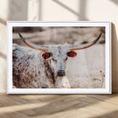 Majestic Texas Longhorn Bull Wall Art Canvas Print – Rustic by MyGreatCanvas | Canvas Wall Art Prints | Photo Prints & Wall Decor
