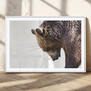 Grizzly Bear Canvas Wall Art Print – Framed Wildlife Nature by MyGreatCanvas | Canvas Wall Art Prints | Photo Prints & Wall Decor