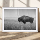 Black White Bison Canvas Wall Art, Rustic American Buffalo by MyGreatCanvas | Canvas Wall Art Prints | Photo Prints & Wall Decor
