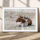 Majestic Longhorn Wall Art Canvas Print – Resting on Sunlit by MyGreatCanvas | Canvas Wall Art Prints | Photo Prints & Wall Decor