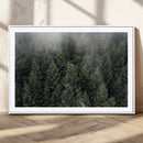 Dense Evergreen Forest Misty Morning Fog Pine Trees Woodland by MyGreatCanvas | Canvas Wall Art Prints | Photo Prints & Wall Decor