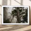 Misty Forest Tall Trees Foggy Atmosphere Nature Serenity by MyGreatCanvas | Canvas Wall Art Prints | Photo Prints & Wall Decor