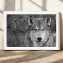 Wild Wolf Blue Eye Wall Art Canvas Print