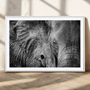 Wild Old Elephant Wall Art Canvas Print