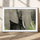 Wild Elephant Wall Art Canvas Print by MyGreatCanvas | Canvas Wall Art Prints | Photo Prints & Wall Decor