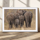 Wild Elephant Wall Art Canvas Print by MyGreatCanvas | Canvas Wall Art Prints | Photo Prints & Wall Decor