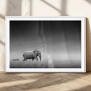 Elephand and Zebra Wall Art Canvas Print, Modern Artwork