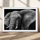 Big Elephant Close Up Wall Art Canvas Print
