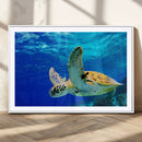 Sea Turtle Wall Art Canvas Print, Sea life in the Ocean Wall