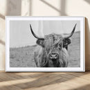 Newfoundland Cow Art Wall Art, Black White Cow Art Wall Art