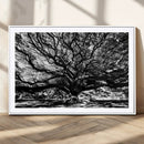 Mighty Angel Oak Wall Art | Angel Oak Tree Art Print by MyGreatCanvas | Canvas Wall Art Prints | Photo Prints & Wall Decor