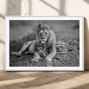 King Forest Lion Wall Art Canvas Print – Framed Majestic by MyGreatCanvas | Canvas Wall Art Prints | Photo Prints & Wall Decor