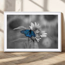 Blue Butterfly Black and White Canvas Wall Art by MyGreatCanvas | Canvas Wall Art Prints | Photo Prints & Wall Decor