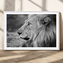 Lion Wall Art Canvas Print – Framed Majestic Wildlife by MyGreatCanvas | Canvas Wall Art Prints | Photo Prints & Wall Decor