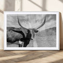 Cattle Wall Art Longhorn Cow Canvas Print