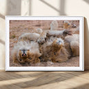 Lion Pair Wall Art Canvas Print – Framed Wildlife Scene with