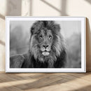 Black and White Lion Canvas Wall Art – Animal Print Artwork