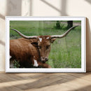 Longhorn Cow Animal Wall Art Canvas Print by MyGreatCanvas | Canvas Wall Art Prints | Photo Prints & Wall Decor