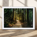 Sunlit Forest Pathway Canvas Print | 3 Panel Large Nature by MyGreatCanvas | Canvas Wall Art Prints | Photo Prints & Wall Decor