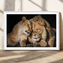Lion and Lioness Wall Art Canvas Print – Framed African