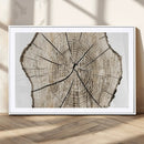 Abstract Wood Tree Ring Wall Art - Ready to Hang Minimalist