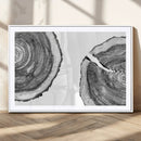 Abstract Large Tree Rings – Minimalist Black and White Wood