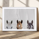 Horse Prints Set, Set of 3 Horse Wall Art, Horses Portraits, by MyGreatCanvas | Canvas Wall Art Prints | Photo Prints & Wall Decor