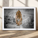 Jaguar Wall Art Canvas Print - Majestic Big Cat in Focused by MyGreatCanvas | Canvas Wall Art Prints | Photo Prints & Wall Decor