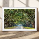 Wormsloe State Plantation Driveway Wall Art Canvas Print by MyGreatCanvas | Canvas Wall Art Prints | Photo Prints & Wall Decor
