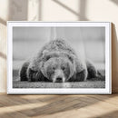 Resting Grizzly Bear Wall Art Canvas Print – Majestic Lazy by MyGreatCanvas | Canvas Wall Art Prints | Photo Prints & Wall Decor