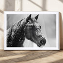 Horse Canvas Print - Winter Horse Snow Wall Art Canvas Print