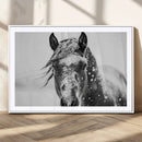 Western Wall Art | Black and White Winter Horse Wall Art | by MyGreatCanvas | Canvas Wall Art Prints | Photo Prints & Wall Decor