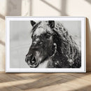 Framed Black and White Horse Wall Art | Ready to Hang and by MyGreatCanvas | Canvas Wall Art Prints | Photo Prints & Wall Decor