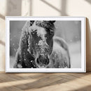 Black and White Horse Winter Wall Art | Ready to Hang and