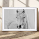 Majestic White Horse Wall Art | Ready to Hang and Framed |